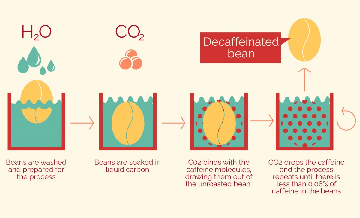 Grafische Darstellung des Entkoffeinierungsprozesses von Kaffeebohnen: Bohnen werden gewaschen, in flüssigem Kohlendioxid (CO2) eingeweicht und dann mehrfach behandelt, bis der Koffeingehalt unter 0,08 % reduziert ist.