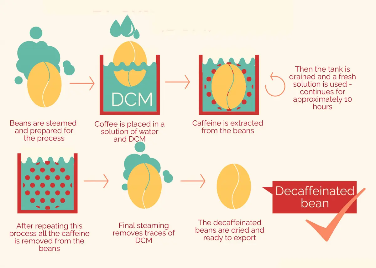 Schritt-für-Schritt-Infografik des Entkoffeinierungsprozesses von Kaffeebohnen mit DCM, einschließlich Dämpfen, Einlegen in Wasser- und DCM-Lösung, Koffeinextraktion, wiederholtem Spülen und Trocknen der Bohnen.