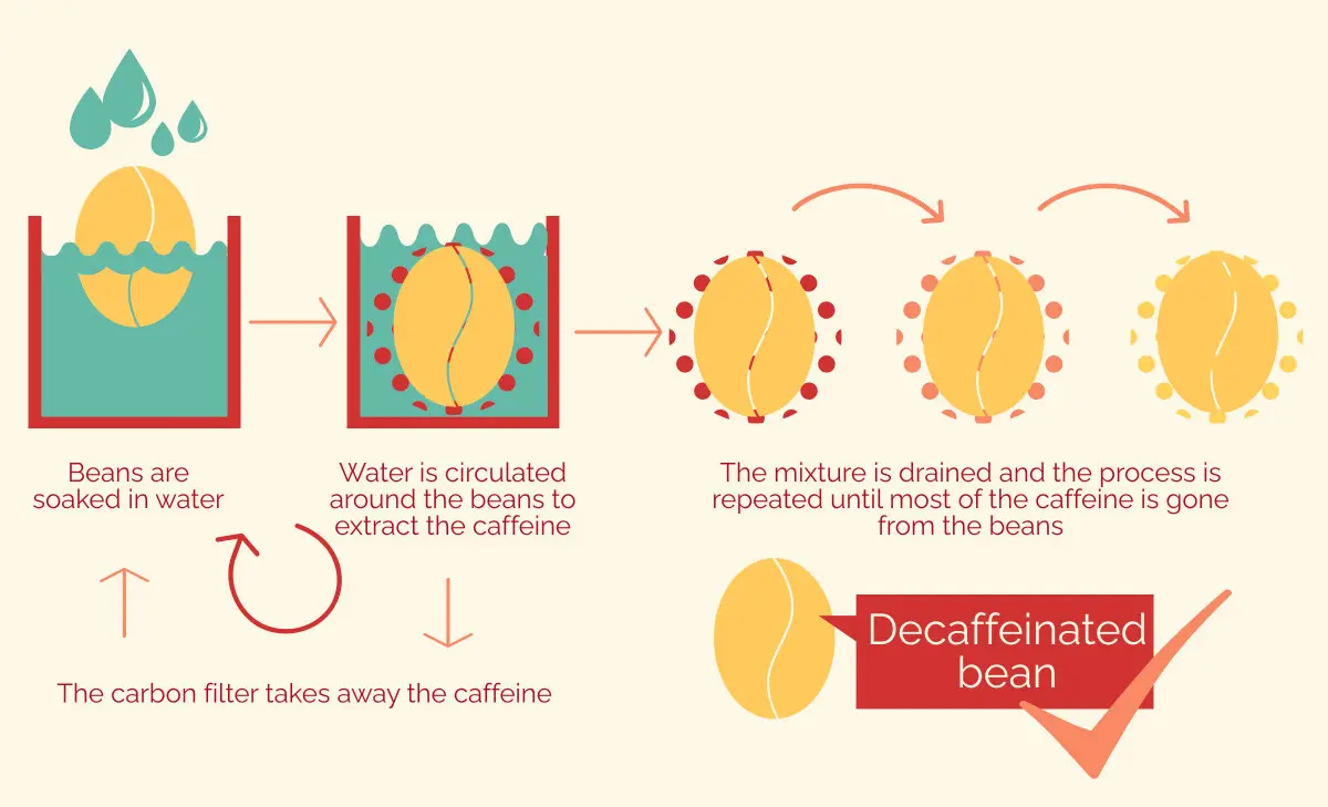 Grafik des Entkoffeinierungsprozesses: Kaffeebohnen werden in Wasser getränkt, Koffein wird durch Wasserzirkulation extrahiert und ein Kohlenstofffilter entfernt das Koffein. Der Prozess wird wiederholt, bis die Bohnen entkoffeiniert sind.