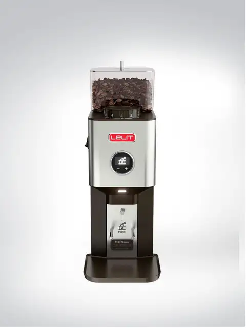 Modern coffee grinder with stainless steel housing and full bean container