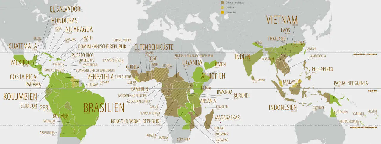 Karte mit globalen Kaffeepflanzenanbaugebieten in Ländern wie Brasilien, Vietnam und Äthiopien